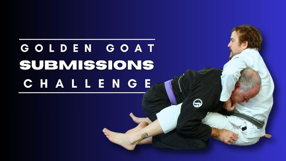 Submissions From Guard Challenge