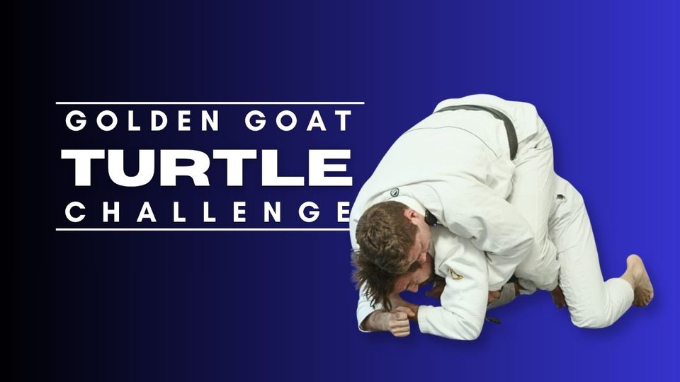 Turtle Challenge